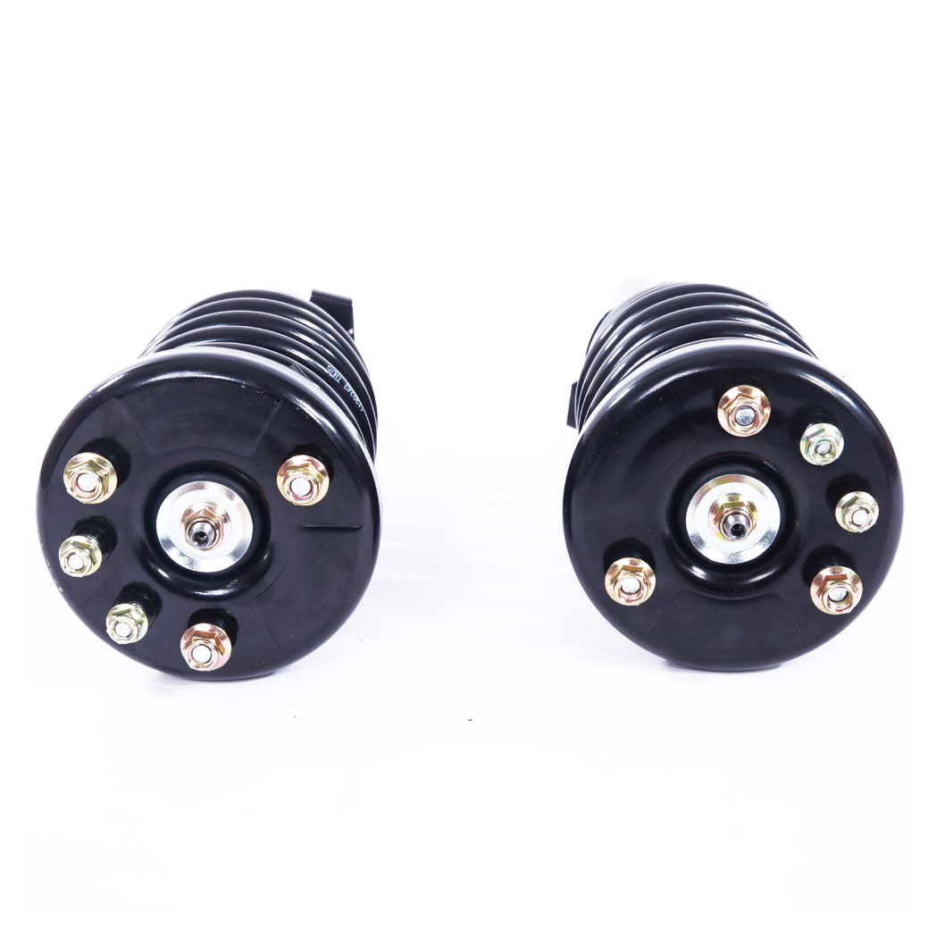 2 Pcs Iron Shock Absorber 17-171691R-171691L JB Black